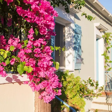 Holiday home M